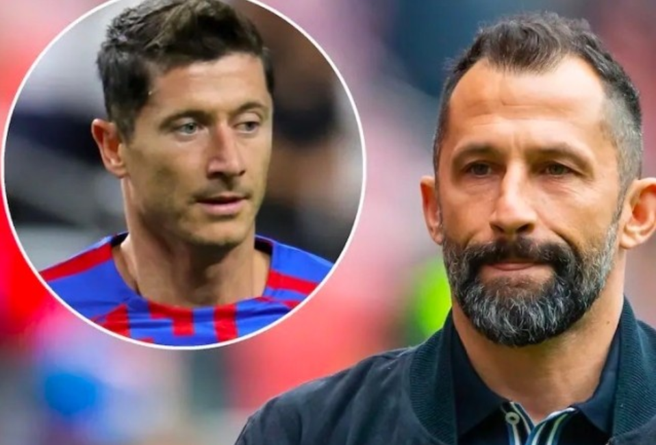 企业发展的 企业发展的