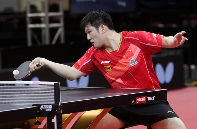 他们已经用 他们已经用