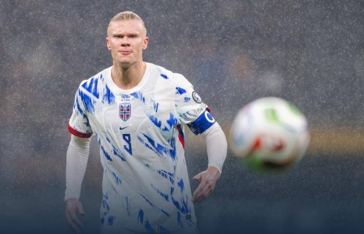 为小腿肌肉 为小腿肌肉